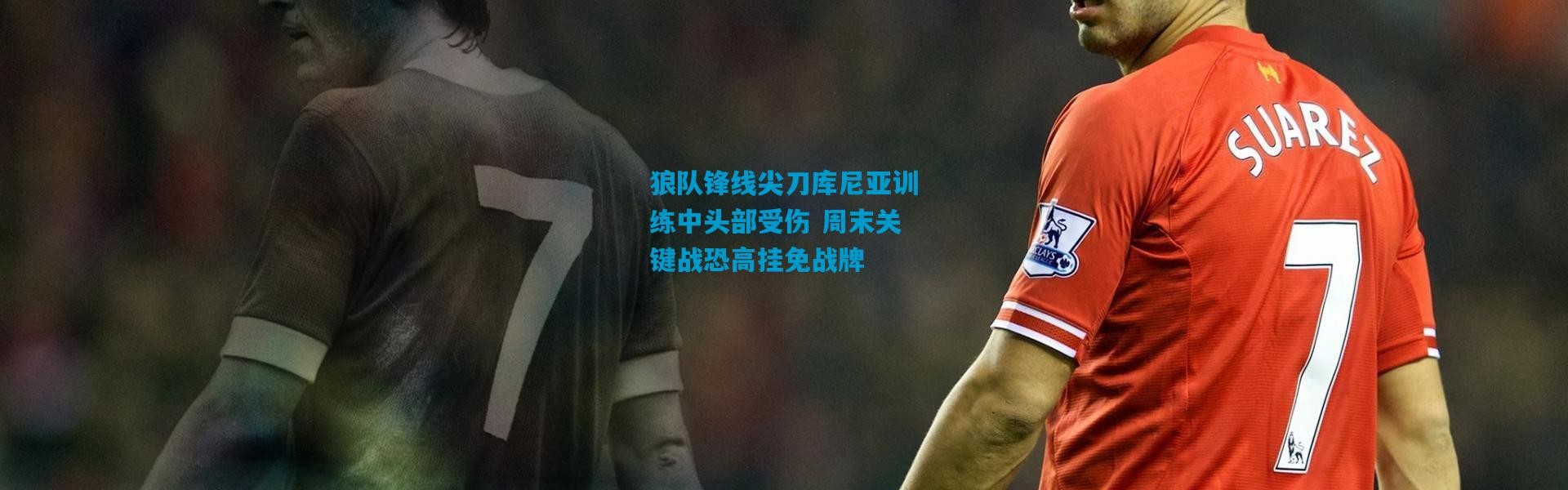 狼队锋线尖刀库尼亚训练中头部受伤 周末关键战恐高挂免战牌