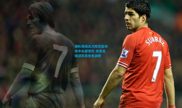 狼队锋线尖刀库尼亚训练中头部受伤 周末关键战恐高挂免战牌