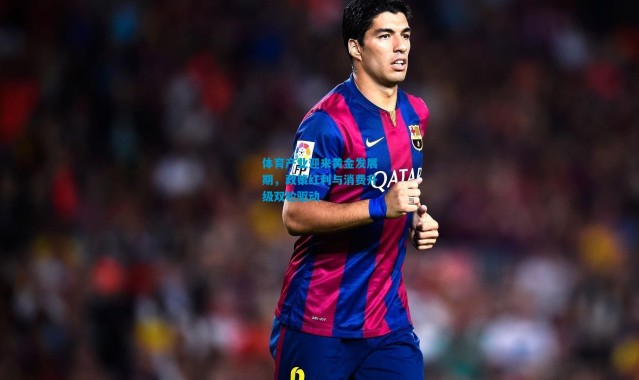 体育产业迎来黄金发展期，政策红利与消费升级双轮驱动